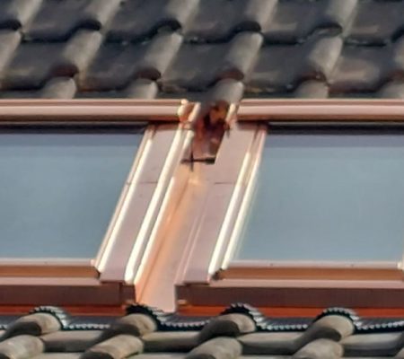 Remplacement de velux à Gampelen